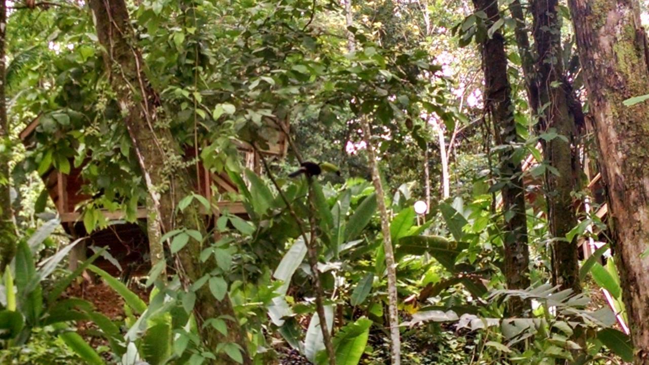 Bed and Breakfast Surf Break At Paunch Bocas del Toro Exterior foto