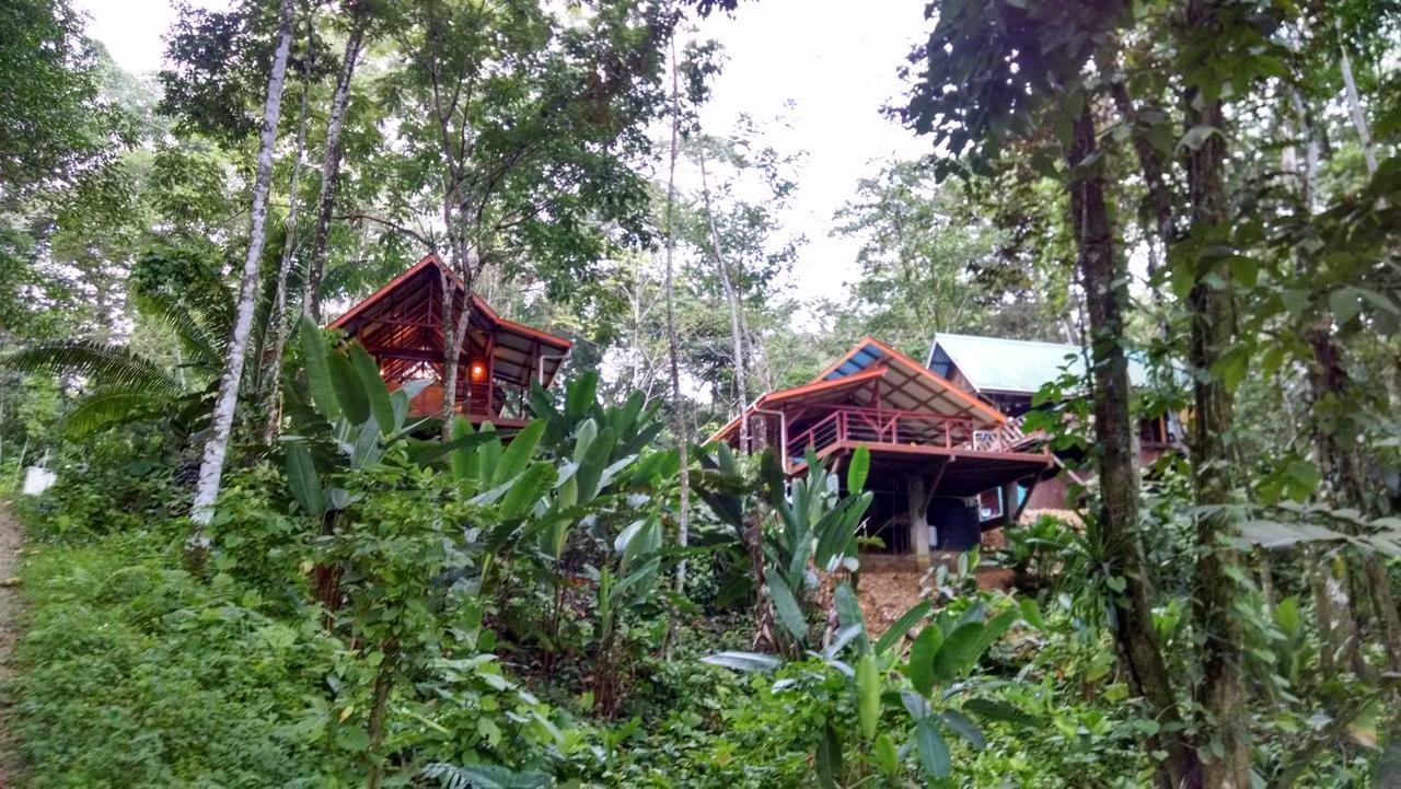 Bed and Breakfast Surf Break At Paunch Bocas del Toro Exterior foto