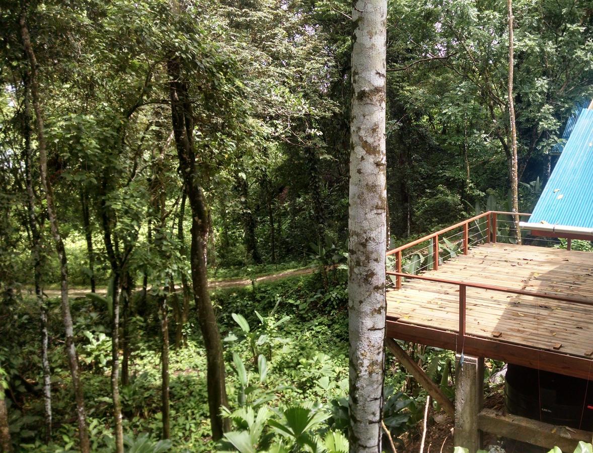 Bed and Breakfast Surf Break At Paunch Bocas del Toro Exterior foto